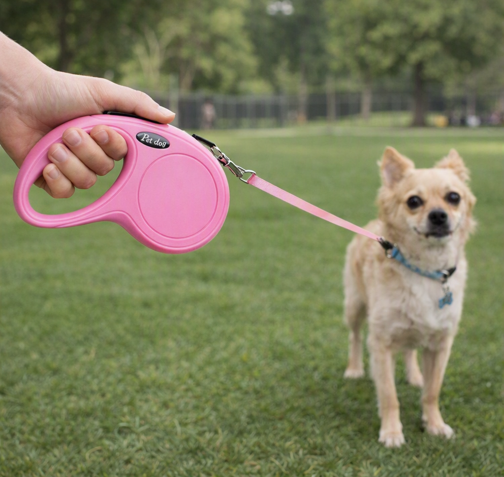 Correa retráctil rosa en uso con perro pequeño en el parque
