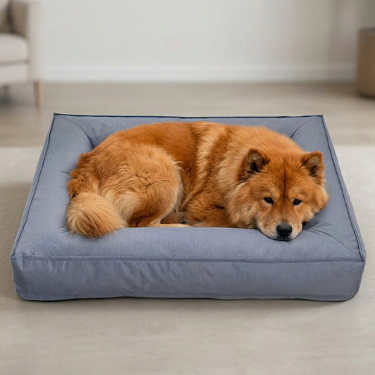 Mascota descansando en cama ortopédica color azul-grisáceo