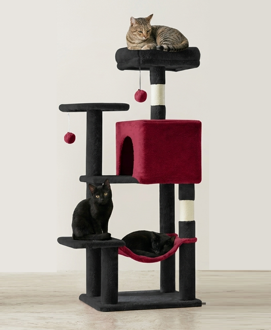 Torre rascador para gatos color rojo negro - foto de estudio con gatos